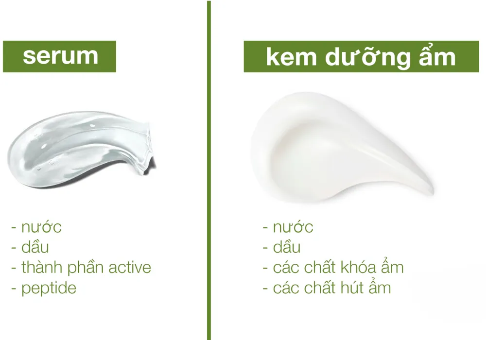 Phân biệt Serum và Kem dưỡng ẩm: Hai vai trò khác nhau nhưng cùng mục tiêu